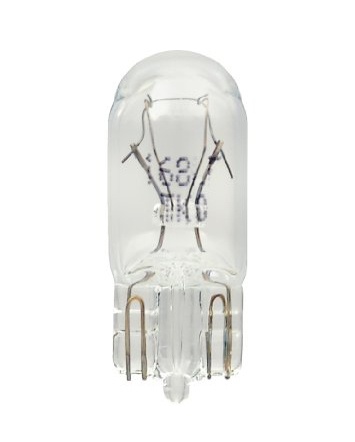 Hella Front License Plate Light Bulb 600000-000000 168