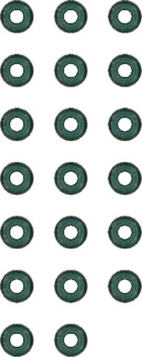 Victor Reinz Engine Valve Stem Oil Seal Set 11340032548 12-33457-01