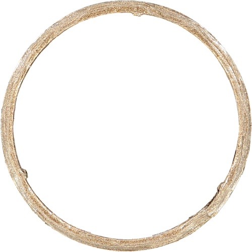 Victor Reinz Exhaust Pipe Flange Gasket 18307553601 71-11399-00