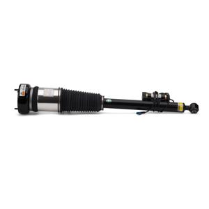 Arnott Rear Left Air Suspension Strut 2213205513