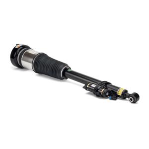 Arnott Rear Right Air Suspension Strut 2213205613