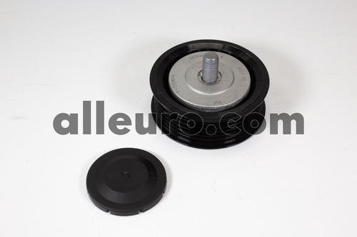 INA Accessory Drive Belt Idler Pulley 11287509508 5320344100