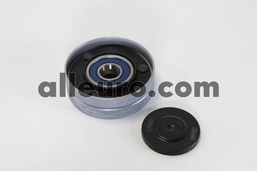 INA Accessory Drive Belt Tensioner Pulley 272136 531 0751 300