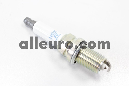 alleuro.com: NGK Spark Plug 101905611G 94460