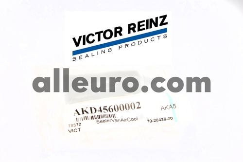 Victor Reinz Sealing Compound Sealant Silicon AKD45600002 70-28436-00