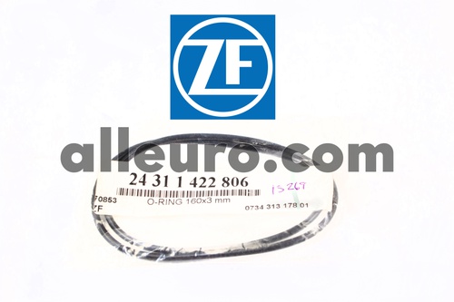 alleuro.com: ZF Automatic Transmission Oil Pump O-Ring 24311422806