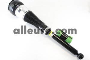 Mercedes-Benz  Arnott Rear Left Air Suspension Strut AS-3361