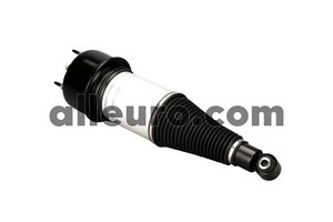 Arnott Rear Air Suspension Strut C2C41341