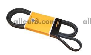 Continental ContiTech Serpentine Belt 0079978292